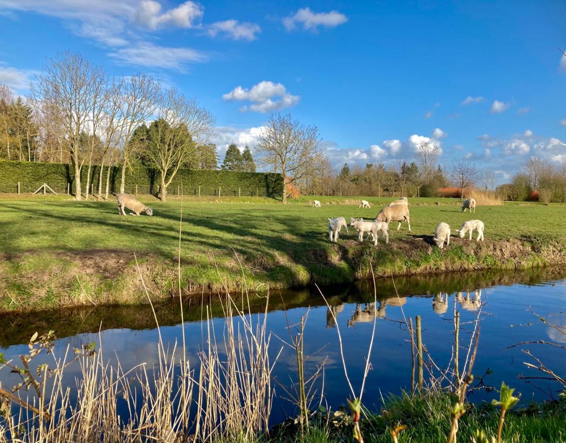 Lodges Near The Rhine - Sustainable Residence Hazerswoude-Rijndijk エクステリア 写真