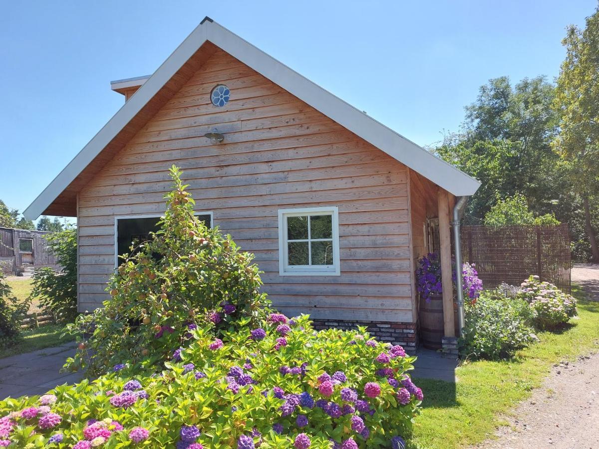 Lodges Near The Rhine - Sustainable Residence Hazerswoude-Rijndijk エクステリア 写真