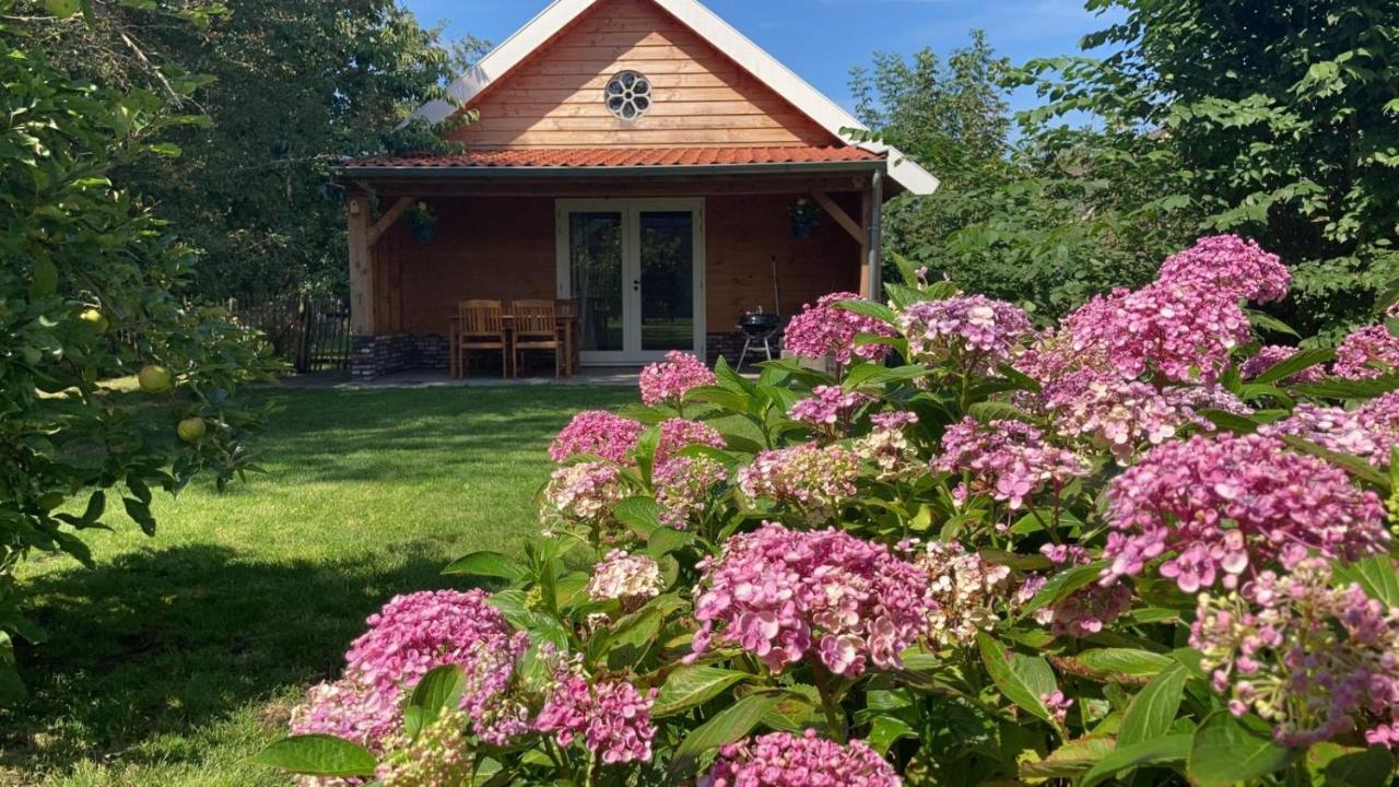 Lodges Near The Rhine - Sustainable Residence Hazerswoude-Rijndijk エクステリア 写真